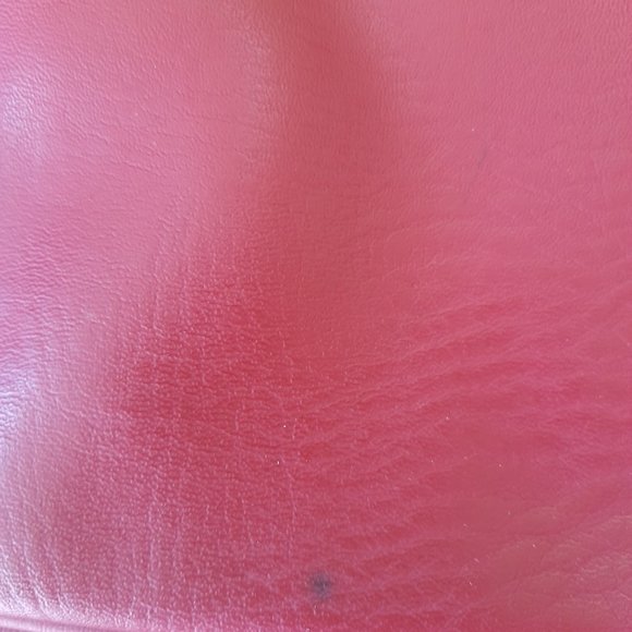 Red Coach - Picture 3 of 3